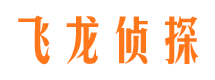 阳东私家调查公司